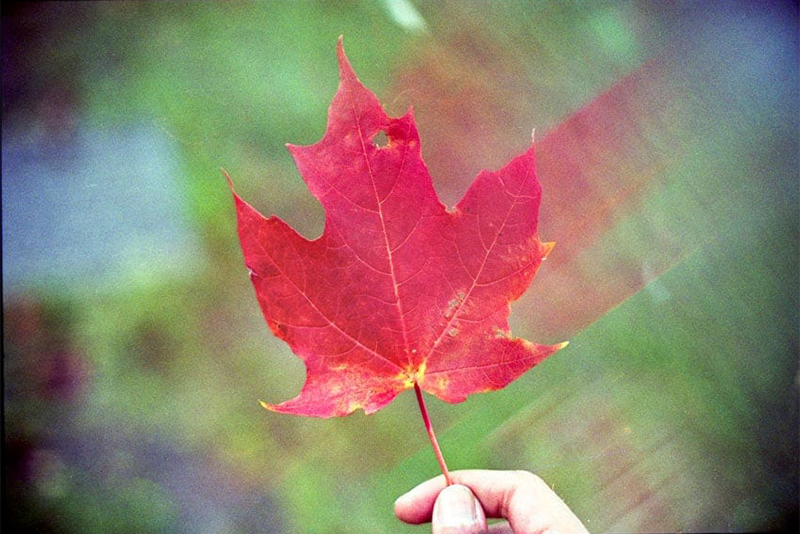 blog image